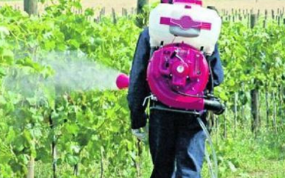 Utilizzo professionale di prodotti fitosanitari: in partenza a ottobre il corso di aggiornamento e il corso completo