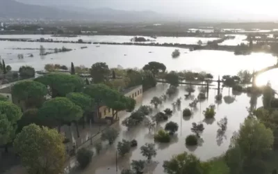 Rifiuti alluvionati: come gestirli